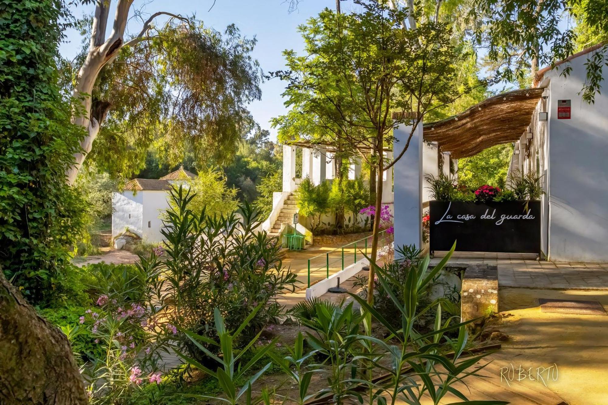 Apartamento Nuevo Centrico Con Aparcamiento Privado Incluido Alcalá de Guadaira Exteriör bild